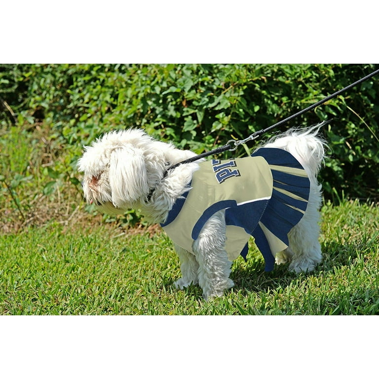 Pets First College Pittsburgh Panthers Cheerleader, 3 Sizes Pet Dress  Available. Licensed Dog Outfit 