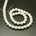thumbnail image 3 of Shell Pearl Beads Strands Round White 16mm Hole: 1mm about 24pcs/strand 15 inch, 3 of 3