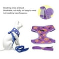 thumbnail image 4 of D-GROEE Dog Harness with Multifunction Dog Leash,Lightweight Pet Harness Vest and Soft Adjustable No Choke Escape Proof Halloween Series Pattern Dog Harness for Puppies or Small Medium Dogs, 4 of 6