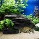 thumbnail image 5 of Adorno para acuario, plataforma para tomar el sol para tortugas, adorno para escalar tortugas, decoración paisajística, 5 of 6