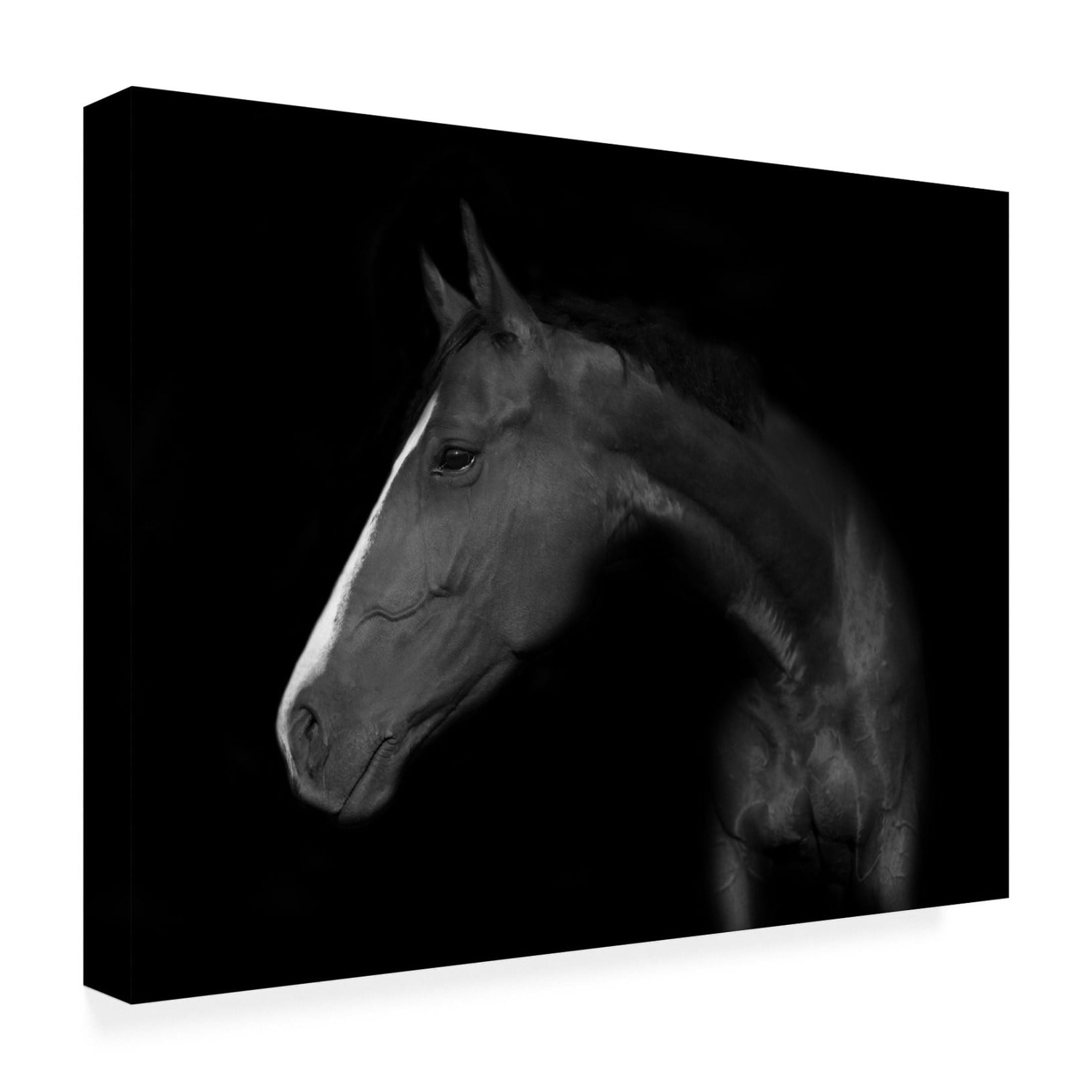 Canvas Wall Art - Wieteke de Kogel 'My Horse' Wall Art for Living Room, Bedroom, or Office D?cor by Trademark Fine Art - 32 x 24 Inches
