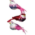thumbnail image 1 of Box Of 6, 4.5 Inch Artificial Mushroom & Feather Colored Sparrows On Clips, 1 of 1