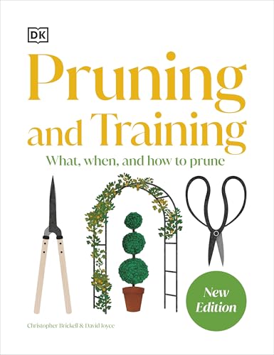 Pre-Owned Pruning and Training: What, When, and How to Prune ...