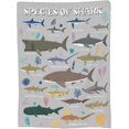thumbnail image 3 of Manta de tiburón, regalo para niños y adultos, suave, cálida, ligera, acogedora, con estampado de especies de tiburones, lindas mantas para cama, sala de estar, sofá, decoración de cumpleaños, 50 x, 3 of 6