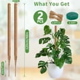 thumbnail image 3 of 2x 47 Inches Monstera Moss Pole, Bendable Coco Coir Plant Moss Stick, Plant Supports for Indoor Climbing Plants Growth, 3 of 6