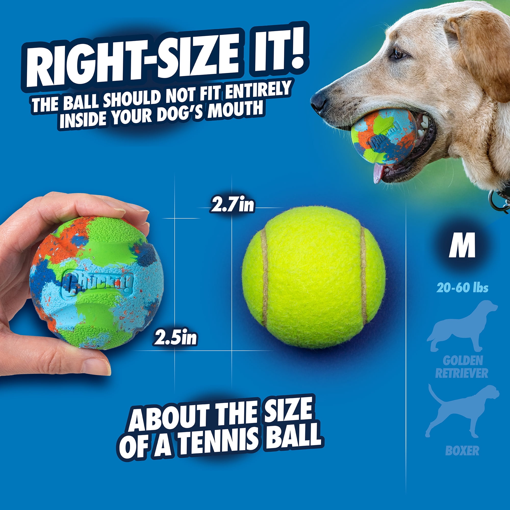 Chuckit! EcoFetch Medley Recycled Rubber Dog Balls Fetch Toy for Dogs, Medium 2.5" for Pets 20 to 60 lbs, Pack of 3