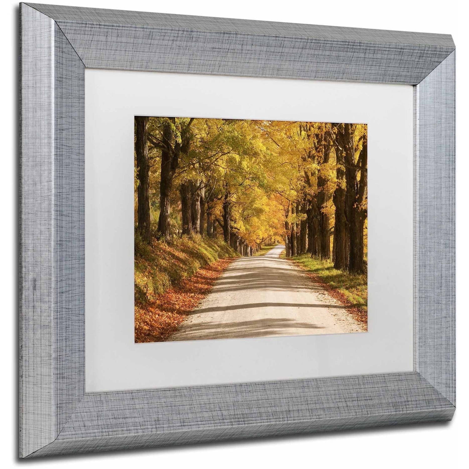 Trademark Fine Art 'Maple Canopy' Canvas Art by Michael Blanchette Photography, White Matte, Silver Frame