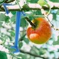 thumbnail image 4 of SHINYPASING 20Pcs Fruit Tree Branch Spreaders Plastic Spreaders for Branch Angle and Growth, 4 of 7