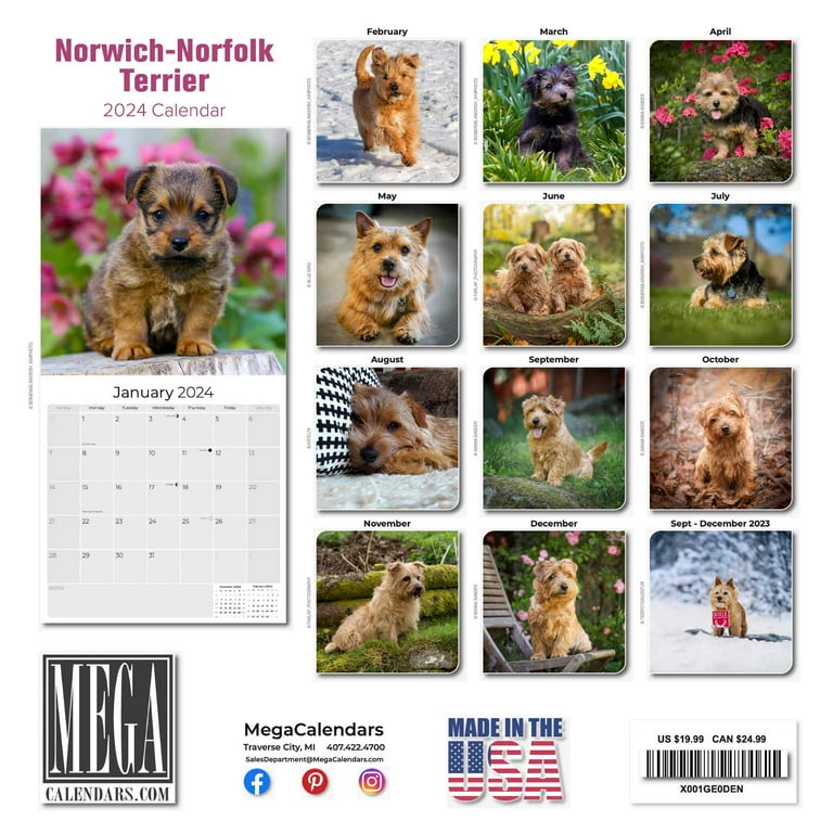 Norwich Calendar 2025 Calendar ynez rebecka