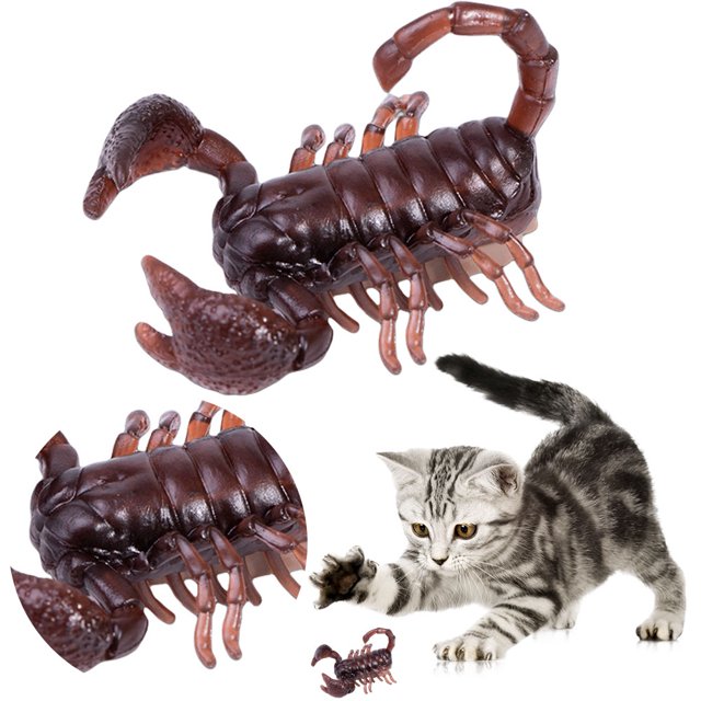 Juguete Automático para Insectos Gato Mini Simulación Creativo Gatos