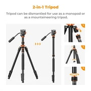 K&F Concept 83/2.1m Aluminum Camera Video Tripod for DSLR Camera, Compact Tripod with Fluid Head and 5kg/11lbs Load for Travel and Work