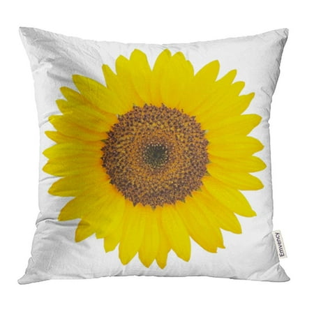Sunflower Pillow Cases YWOTA Yellow Clipping Sunflower White Path Color Common Daisy Flower Head Leaf Pillow Cases Cushion Cover 18x18 inch ()