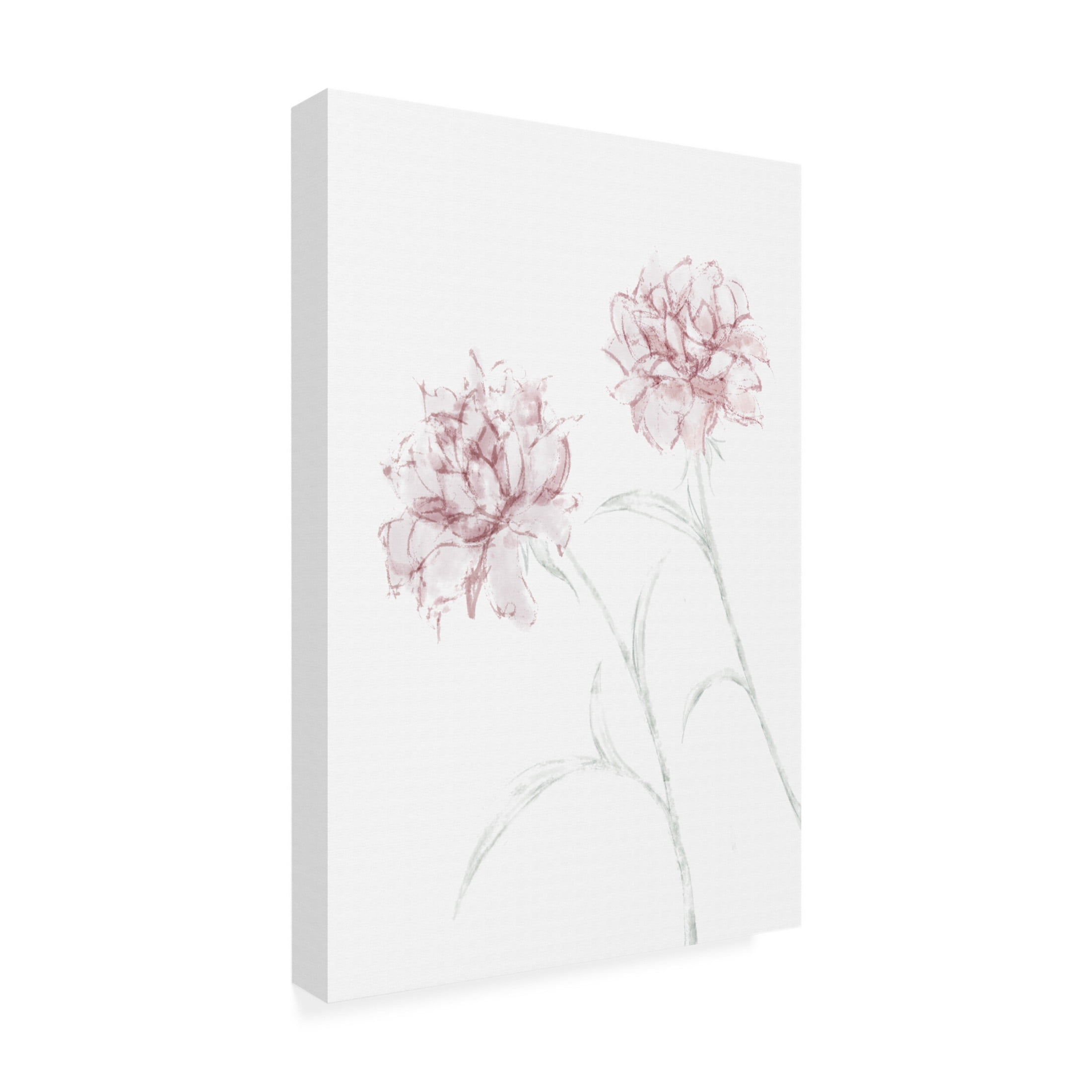 Canvas Wall Art - Pictufy Studio Ii 'Peony 03' Wall Art for Living Room, Bedroom, or Office Décor by Trademark Fine Art - 22 x 32 Inches