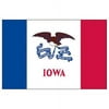 Iowa Flag 3x5ft Nylon