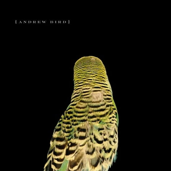 Andrew Bird - Armchair Apocrypha - Rock - CD