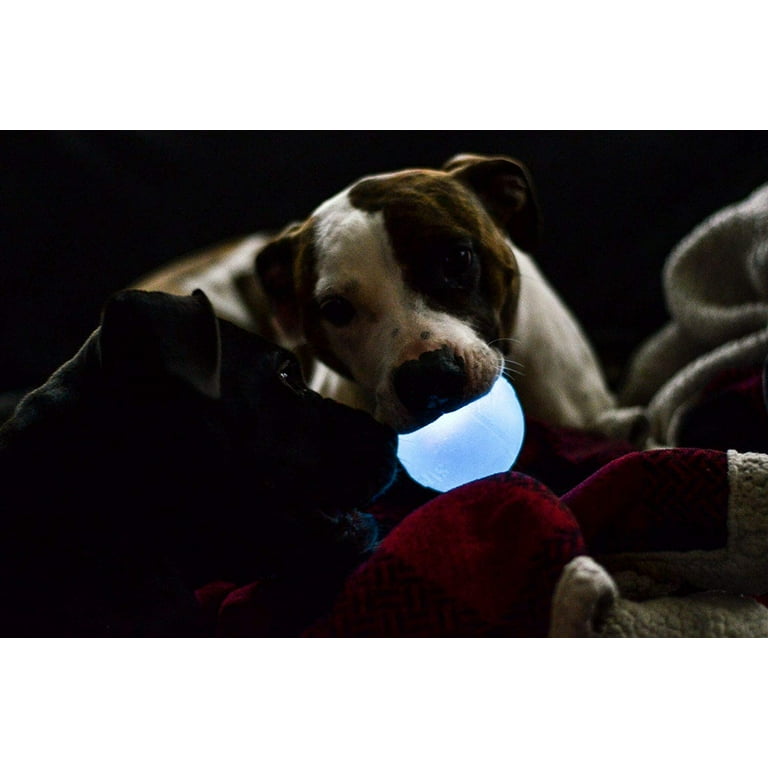 Planet Dog Orbee-Tuff Strobe Light Up Dog Ball, Blue, One-Size