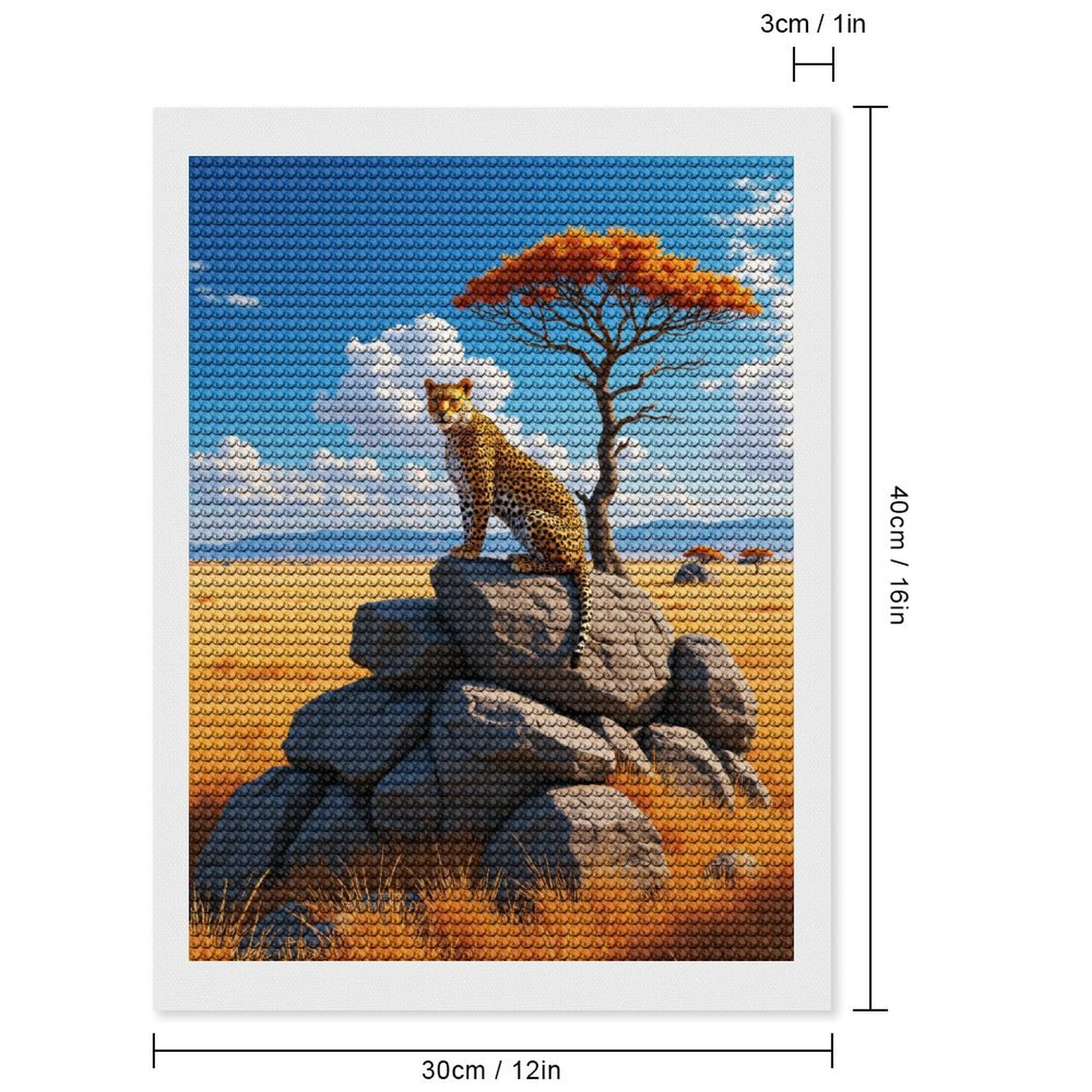 Diamond Art Kits for Adults, Cheetah Rocks Savannah Scenery 5D Diamond Painting Kits for Adults Beginners, DIY Full Drill Diamond Painting, Gem Art and Crafts 12x16
