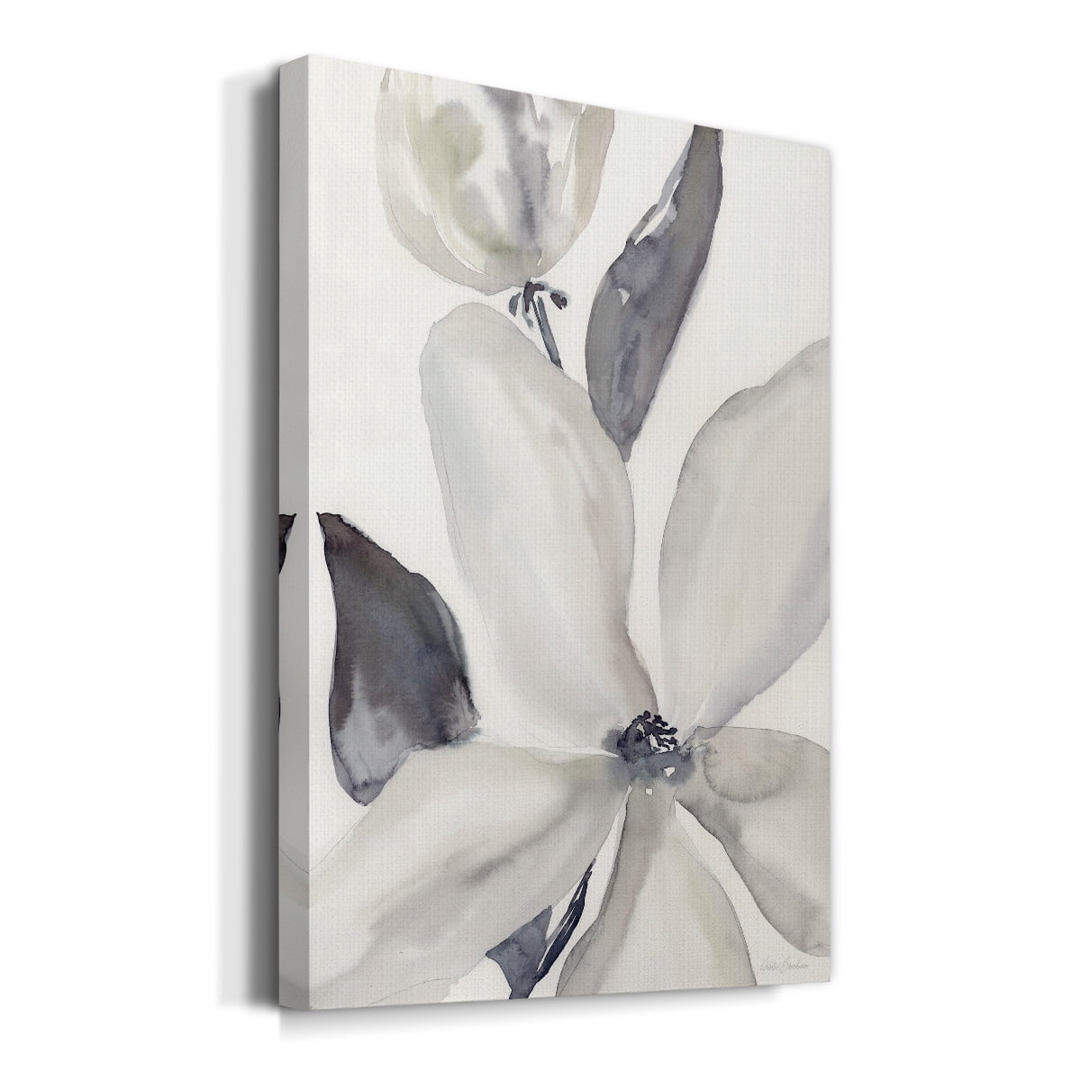 Daybreak Bloom II Premium Gallery Wrapped Canvas - Ready to Hang