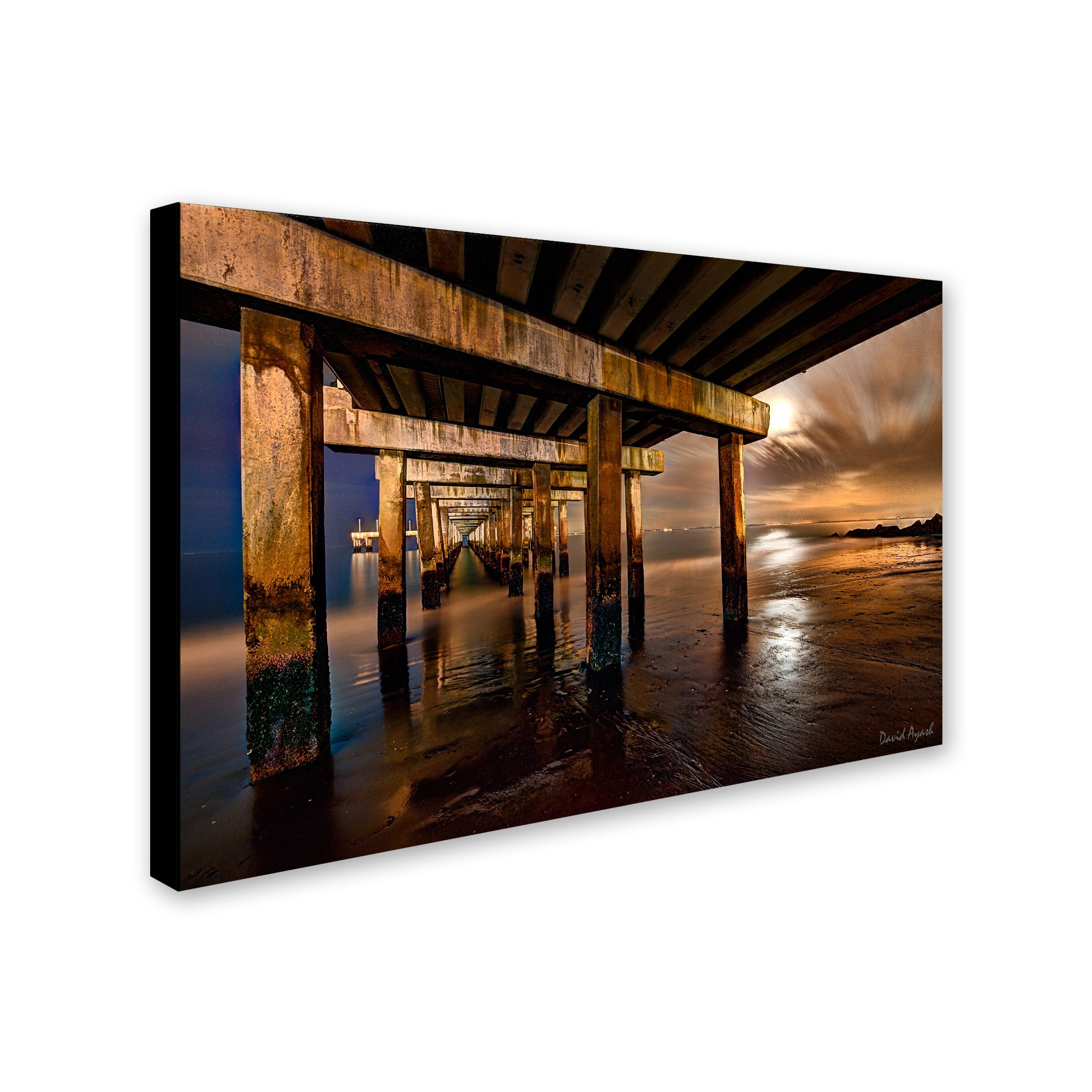 Trademark Fine Art "Coney Island Pier by Moonlight" Canvas Art by David Ayash