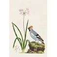 thumbnail image 2 of Unknown 13x18 White Modern Wood Framed Museum Art Print Titled - Bird in Habitat II, 2 of 4