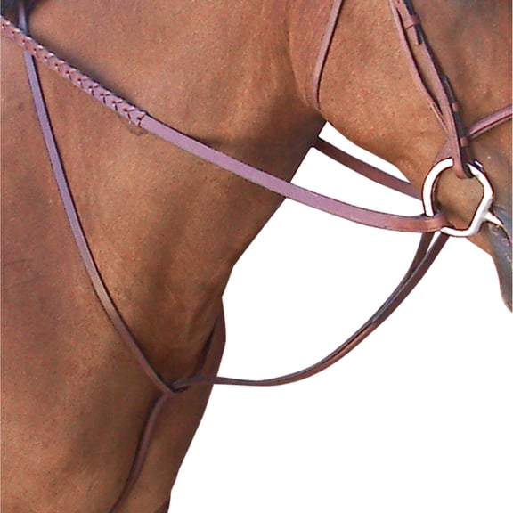 Passport Plain Raised Standing Martingale Full