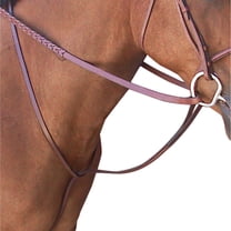 Passport Plain Raised Standing Martingale Full
