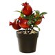 thumbnail image 1 of Mini bonsái de frutas, plantas artificiales creativas, decoración del hogar, simulación de plantas verdes, 1 of 5
