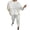 White, variant on 2 Piece Lounge Sets for Women Fall Two Piece Lounge Sets for Women Spring Fashion Women Pocket V-Neck Casual Long Sleeve Sweatshirt Pant Set My Items