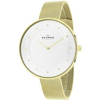 Skagen Women's Gitte Oversized Silver Dial Watch - SKW2141