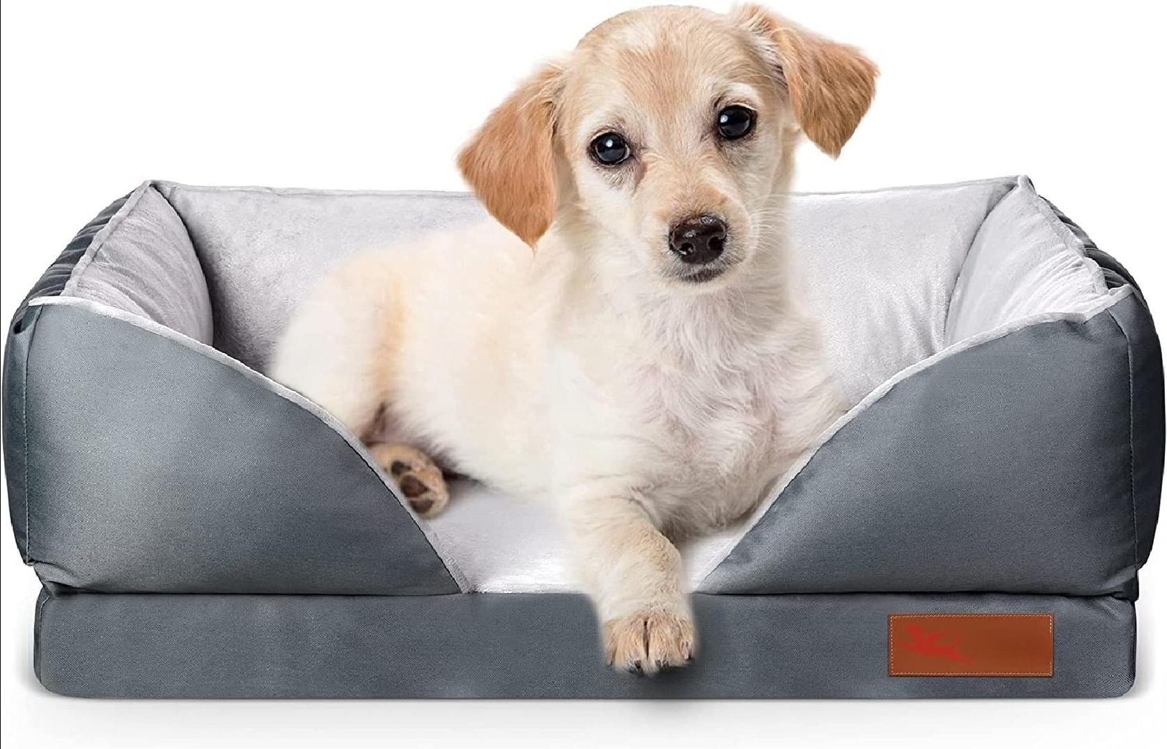 Can You Have Dogs On Base