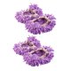 thumbnail image 1 of 4/Set polvo mopa limpiador suave cubierta pie polvo limpiadores barrido Violeta Gloria Zapatillas de trapeador, 1 of 9