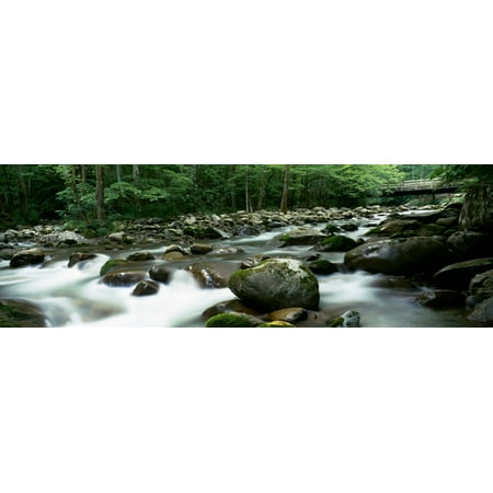 Rocks in a river Little Pigeon River Great Smoky Mountains National Park Tennessee USA Canvas Art - Panoramic Images (6 x