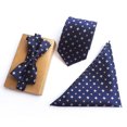 thumbnail image 3 of Cravate pour Homme Jacquard Paisley avec Poche et Nœud Papillon, 3 of 6