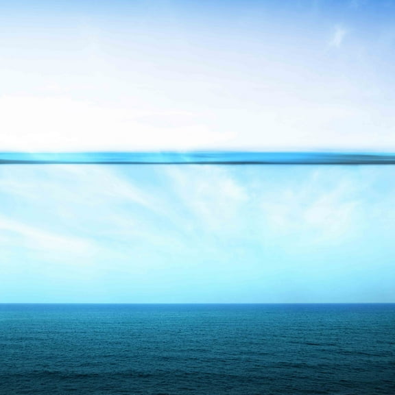 Parvez Taj "Serene" Print on Canvas