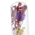 thumbnail image 4 of Exhibición de Tarros de Campana de Campana Terrario de Pntas Centro de Exhibición Florero Púrpura + amarillo Colco Florero de preservación de flores, 4 of 8