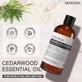 thumbnail image 4 of 100ml Cedarwood Essential Oils for Diffusers, Humidifiers, DIY Candles, Soap Making, Bath, Cedarwood Scent Oil for Home, Yoga & Spa, 4 of 12