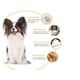thumbnail image 4 of GEM 12 piezas profesional Pet Grooming inalámbrico Clipper Set, 4 of 6