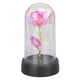 thumbnail image 1 of Rosa Iluminada En Cúpula De Cristal, Iluminación Ambiental, Luz De Flor Romántica Multiusos Para Aniversario De Mujer, 1 of 7