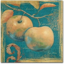 Trademark Fine Art "Lovely Fruits II" Canvas Art by Daphne Brissonnet