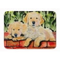 thumbnail image 1 of Carolines Treasures SS8908RUG Golden Retriever Tapis en Mousse à Mémoire de Forme Lavable en Machine, 1 of 4