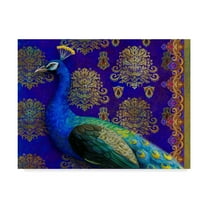 Trademark Fine Art 'Indian Peacock' Canvas Art by Maria Rytova