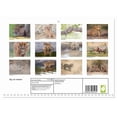 thumbnail image 2 of Big cat children (Monthly Wall Calendar 2026 11.7 x 16.5 (open)), CALVENDO 14 Month Calendar, 2 of 9