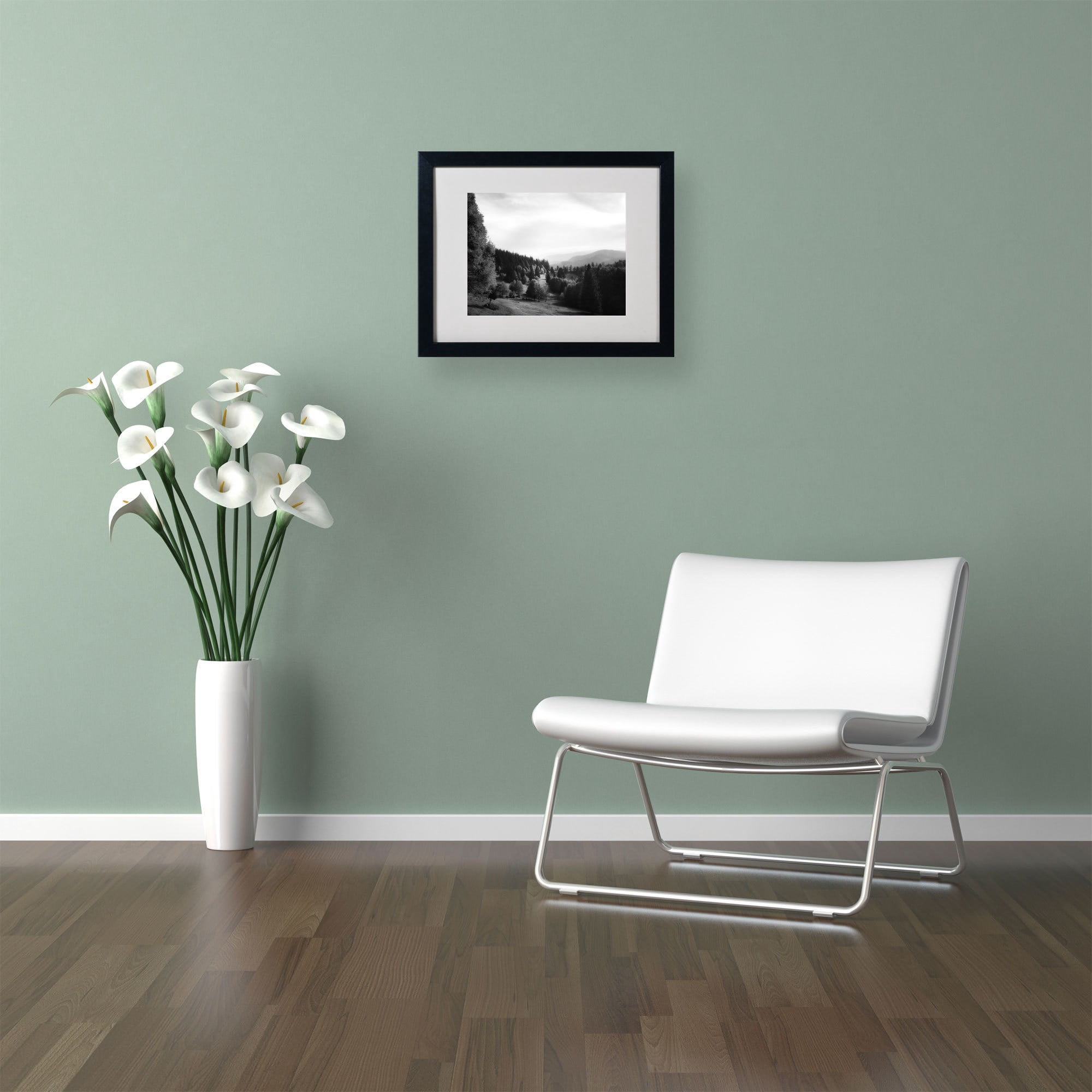 Trademark Fine Art "Spotlight" Canvas Art by Philippe Sainte-Laudy, Black Frame
