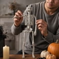 thumbnail image 4 of Life-size posing Halloween skeleton 15.7-inch full-body articulated human bone yard, realistic decoration displayed in the window and durable plastic props., 4 of 7