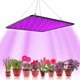 thumbnail image 1 of Luces LED de 1000W para jardinería, floración y crecimiento, luces de cultivo interior, luces de cultivo hidropónico con ganchos, luces de germinación y crecimiento (rojo+bule), 1 of 5