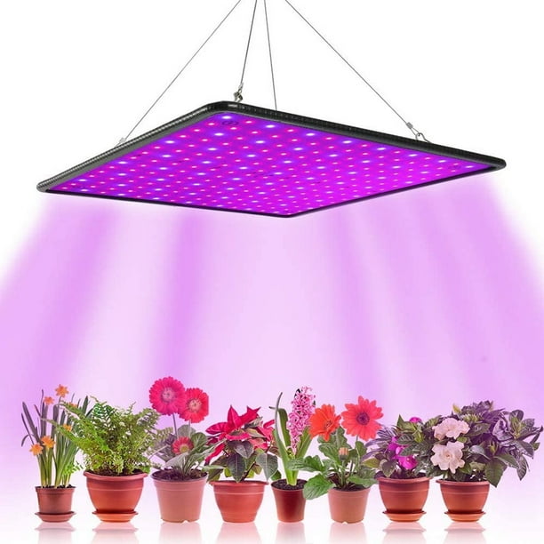 Luces LED de 1000W para jardinería, floración y crecimiento, luces de cultivo interior, luces de cultivo hidropónico con ganchos, luces de germinación y crecimiento (rojo+bule)
