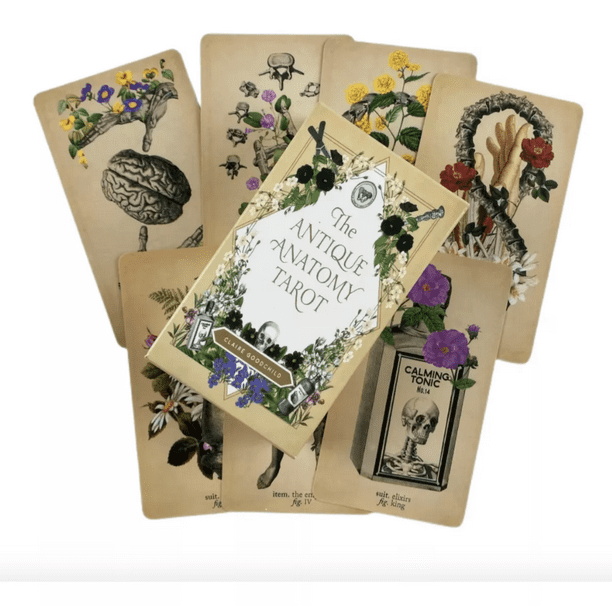 Tarot Rider Waite Antique Anatomy – 78 Cartas (10x6 cm) + Manual Digital – Baraja Esotérica de Estilo Vintage