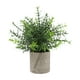 thumbnail image 2 of Artificial Green Plants Simulation Potted Home Office Hotel Lobby Decoration Green Plants Home Decoration Artificial Plants, 2 of 6