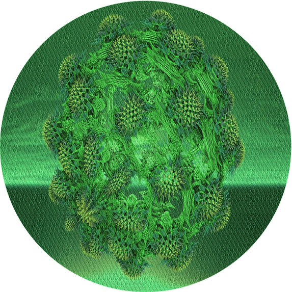 Ahgly Company Machine Washable Indoor Round Transitional Deep Emerald Green Area Rugs, 3' Round