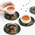 thumbnail image 5 of Disketp Jungle Hat Bear Funny Coasters,6 Pcs Leather Coasters with Holder, Perfect Housewarming Hostess Gifts,Protect Furniture from Water Marks Scratch and Damage, 5 of 5